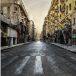 Jak posadzić bazylię w doniczce