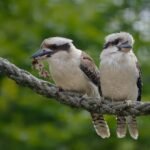 Ile kosztuje bilet rodzinny do zoo w Warszawie