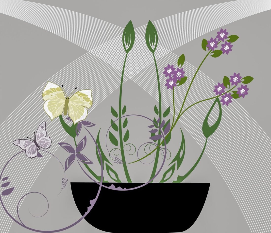 Jak posadzić kilka storczyków w jednej doniczce