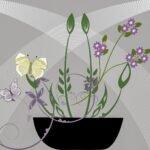 Jak posadzić kilka storczyków w jednej doniczce