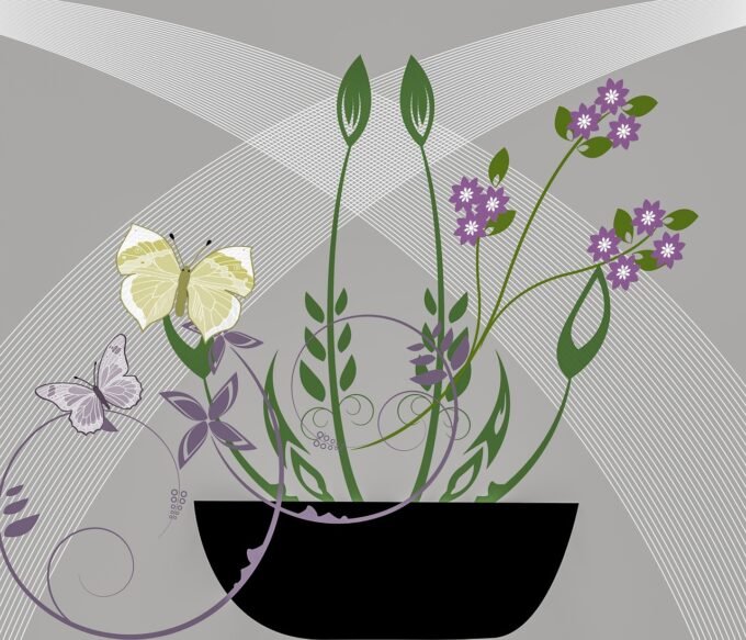 Jak posadzić kilka storczyków w jednej doniczce