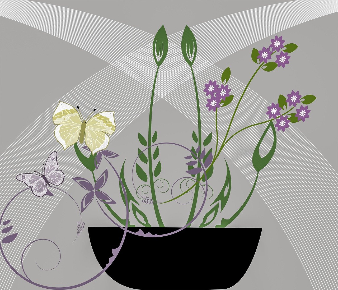 Jak posadzić kilka storczyków w jednej doniczce