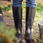 Jak posadzić krokusy w doniczce