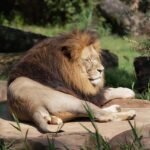 Ile kosztuje bilet do zoo w Białymstoku