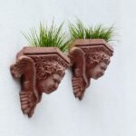 Jak posadzić lawendę w doniczce