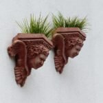 Jak posadzić kwiaty w doniczce