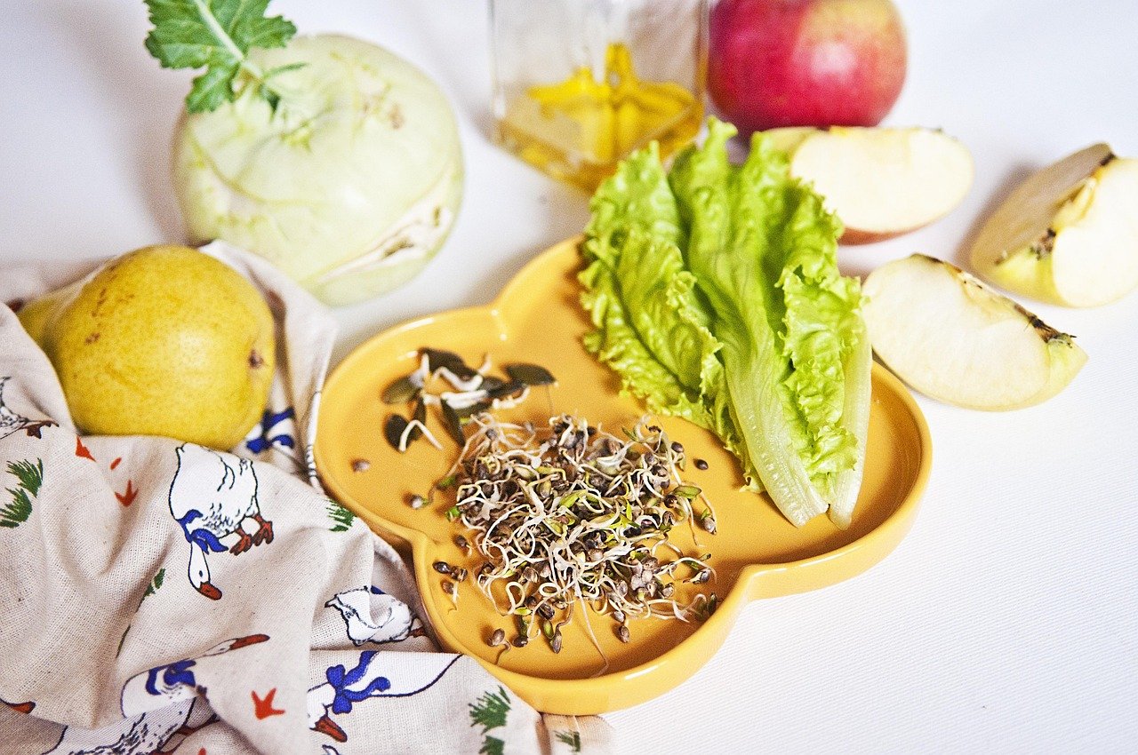 Jak posadzić awokado w doniczce