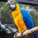 Ile kosztuje bilet rodzinny do zoo we Wrocławiu